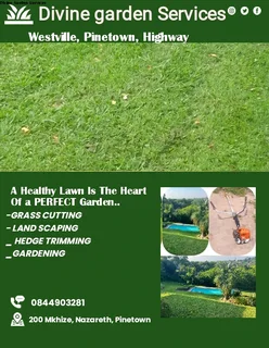 Grass cutting, landscape