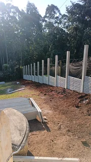 Dino&#39;s concrete fencing 鷺