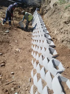 Dino&#39;s concrete fencing 鷺