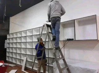 Professional Carpenter