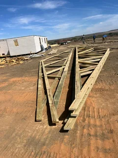 Black Friday special