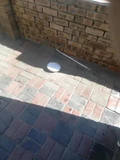 Paving specialists at affordable prices