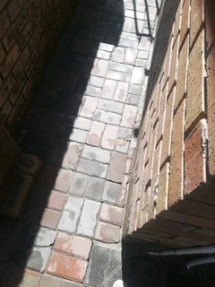 Paving specialists at affordable prices