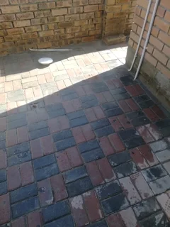 Paving guys