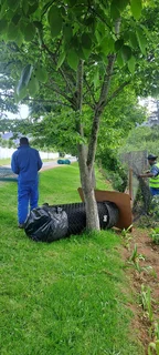 Fencing installation