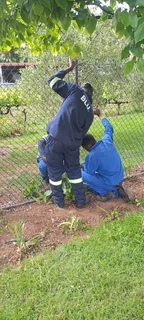 Fencing installation