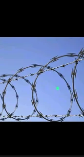 Razor wire
