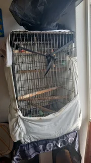Bird cage for sale