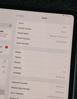 iPad Pro 11-Inch M4 Chip 1TB WiFi and Cellular