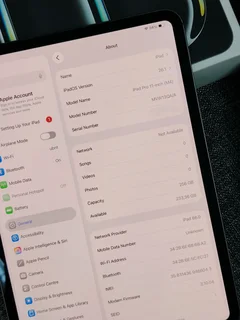 iPad Pro 11-Inch M4 Chip 256GB WiFi and Cellular