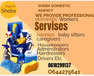 Sheba Recruitment Agent
