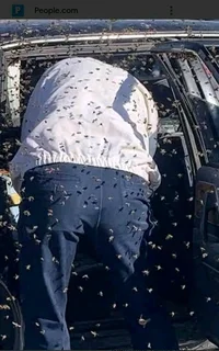 Pay after results on stolen goods