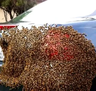 Same day help on lost lover,get back stolen items