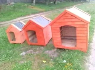 Dog Kennel for sale 071 798 8529