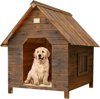 Dog Kennel 071 798 8529