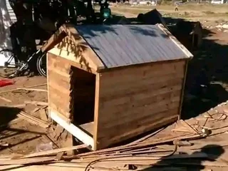 Best Project dog Kennel 071 798 8529