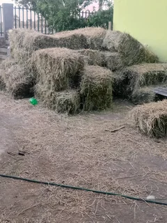 Lucerne bales