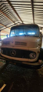 Mercedes-Benz bullnose 1113 met beestralies