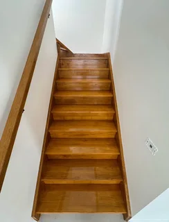 Painting and house renovations