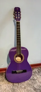 Vizcaya Classic Guitar
