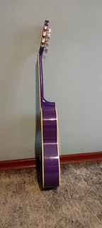 Vizcaya Classic Guitar