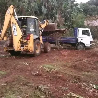 Tashy Tree Felling and Truck Hire