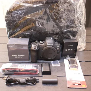 Canon EOS  R6 Mark ll