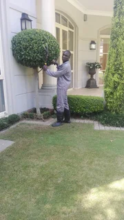 Looking for any of these job gardening, driving, delivering painting