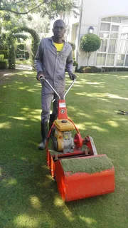 Looking for any of these job gardening, driving, delivering painting