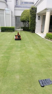 Am phinias lutepo looking for garden job