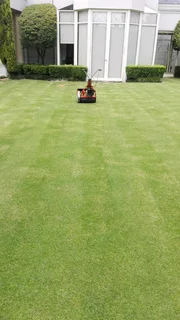 Am phinias lutepo looking for garden job