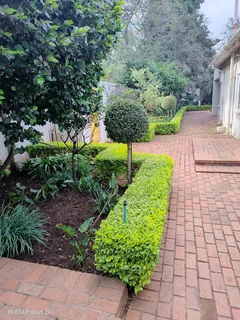 Am phinias lutepo looking for job