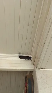 Painter Fourways,Painter Randburg,,Tiller