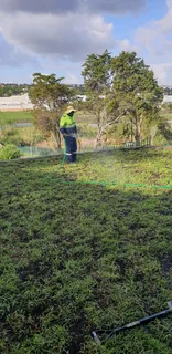 PAVING and ROLL ON LAWN INSTALLATION
