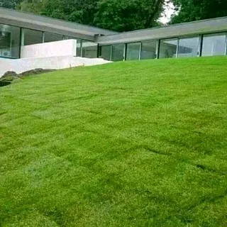 PAVING and ROLL ON LAWN INSTALLATION