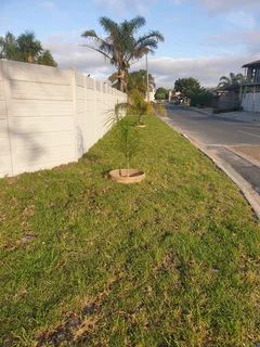 PAVING and ROLL ON LAWN INSTALLATION