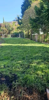 PAVING and ROLL ON LAWN INSTALLATION