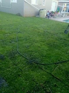 PAVING and ROLL ON LAWN INSTALLATION