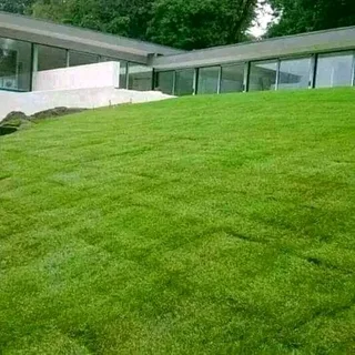 PAVING and ROLL ON LAWN INSTALLATION