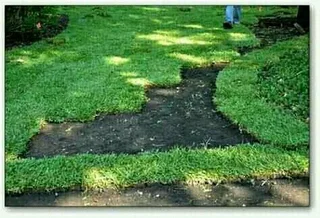 PAVING and ROLL ON LAWN INSTALLATION