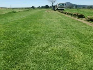 BULK SUPPLY OF ROLL ON LAWN KIKUYU, BUFFALO AND LM BEREA