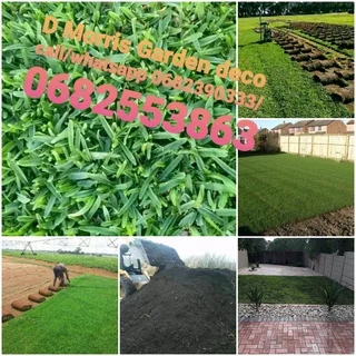 BULK SUPPLY OF ROLL ON LAWN KIKUYU, BUFFALO AND LM BEREA
