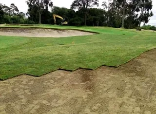 BULK SUPPLY OF ROLL ON LAWN KIKUYU, BUFFALO AND LM BEREA