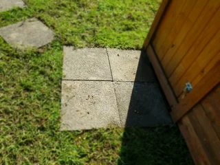 We supply kikuyu grass buffalo grass Lm berea grass and cynodon grass