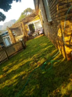 We supply kikuyu grass buffalo grass Lm berea grass and cynodon grass