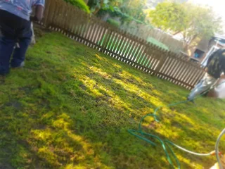 We supply kikuyu grass buffalo grass Lm berea grass and cynodon grass