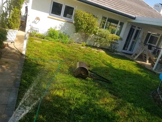 We supply kikuyu grass buffalo grass Lm berea grass and cynodon grass