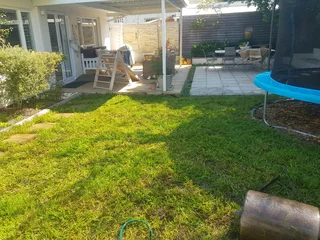 We supply kikuyu grass buffalo grass Lm berea grass and cynodon grass