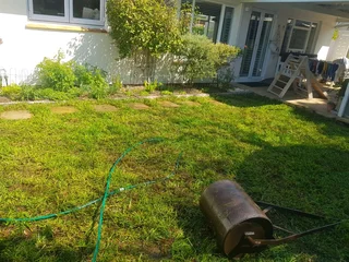 We Supply Kikuyu Grass Buffalo Grass Lm Berea Grass And Cynodon Grass