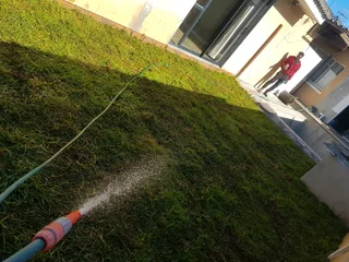 We Supply Kikuyu Grass Buffalo Grass Lm Berea Grass And Cynodon Grass